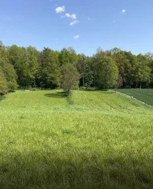 Dziełka budowlana z warunkami zabudowy