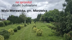 Na sprzedaż działki budowlane Wola Morawicka, ul. Miła