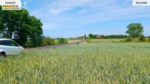 Działka 3 000,00 m², Bielice, Sprzedaż
