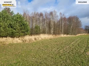 Działka 950,00 m², Chłopowo, Sprzedaż