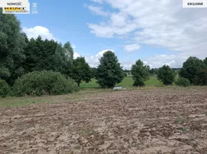 Działka 3 008,00 m², Długie, Sprzedaż