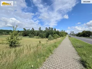 Działka 5 500,00 m², Lubieszyn, Sprzedaż