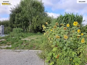 Działka 1 103,00 m², Mierzyn, Orfeusza, Sprzedaż