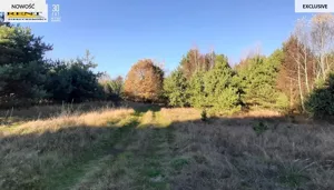 Działka 3 084,00 m², Stara Dąbrowa, Sprzedaż