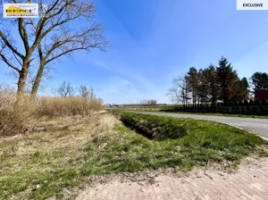 Działka 3 687,00 m², Trzebusz, Sprzedaż