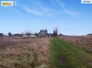 Działka 4 000,00 m², Wąwelnica, Sprzedaż