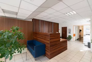Dom wolnostojący 413,00 m², Rumianek, Parkowa, Sprzedaż