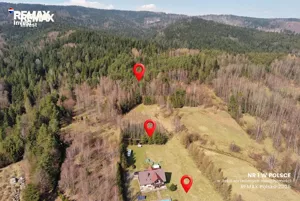 Dom wolnostojący 220,00 m², Las, Soliska, Sprzedaż