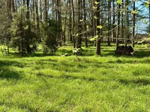 Działka 4 110,00 m², Jankowice, Adolfa Dygasińskiego, Sprzedaż