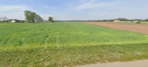 Działka 3 318,00 m², Agnieszkowo, Sprzedaż