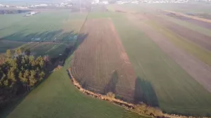 Działka 29 540,00 m², Borek Wielkopolski, Sprzedaż