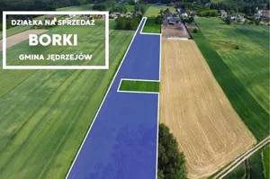 Działka 9 538,00 m², Borki, Sprzedaż