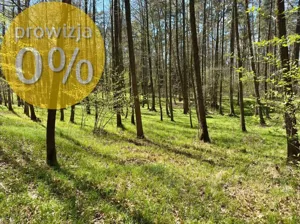Działka 3 800,00 m², Rybnik, Borki, Sprzedaż