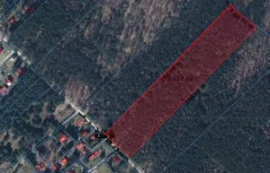 Działka 16 171,00 m², Budy Grabskie, Sprzedaż