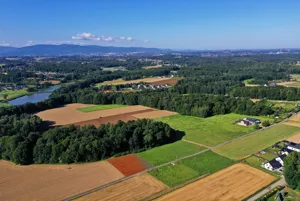 Działka 870,00 m², Pisarzowice, Bukowa, Sprzedaż