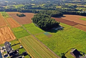 Działka 846,00 m², Pisarzowice, Bukowa, Sprzedaż