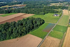 Działka 952,00 m², Pisarzowice, Bukowa, Sprzedaż