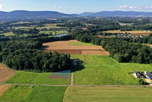 Działka 1 114,00 m², Pisarzowice, Bukowa, Sprzedaż