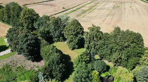 Działka 3 100,00 m², Cedry Małe, Sprzedaż