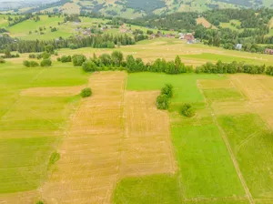Działka 9 423,00 m², Ciche, Sprzedaż