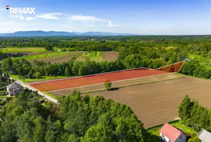 Działka 11 778,00 m², Grojec, Czajki, Sprzedaż