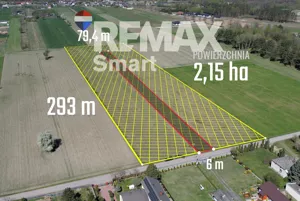 Działka 21 400,00 m², Czarna Kolonia, Sprzedaż