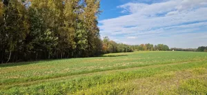 Działka 3 439,00 m², Kończyce Wielkie, Długa, Sprzedaż