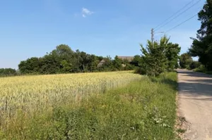 Działka 2 250,00 m², Dodów, Sprzedaż