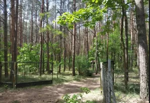 Działka 96 000,00 m², Drożdżówka, Sprzedaż