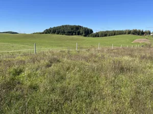 Działka 3 094,00 m², Dudki, Sprzedaż