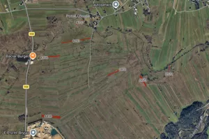 Działka 13 420,00 m², Dział, Sprzedaż