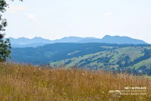 Działka 6 563,00 m², Dzianisz, Sprzedaż
