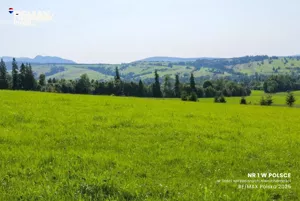 Działka 4 354,00 m², Dzianisz, Sprzedaż