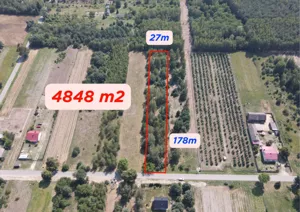 Działka 4 848,00 m², Dziecinów, Sprzedaż