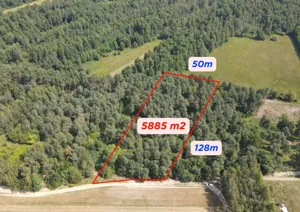 Działka 5 885,00 m², Dziecinów, Sprzedaż