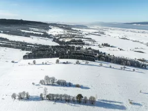 Działka 9 236,00 m², Frydman, Sprzedaż