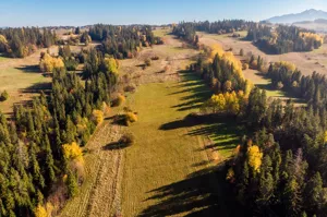 Działka 2 711,00 m², Biały Dunajec, Gile, Sprzedaż