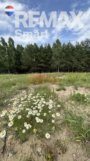 Działka 1 000,00 m², Gójszcz, Sprzedaż