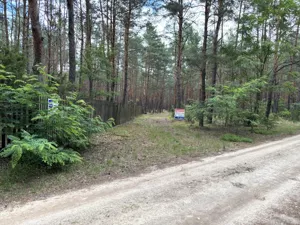 Działka 6 379,00 m², Rynia, Ignacego Paderewskiego, Sprzedaż