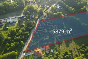 Działka 15 879,00 m², Jadwinin, Sprzedaż