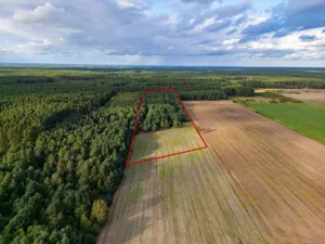 Działka 30 000,00 m², Jędrzejewo, Sprzedaż
