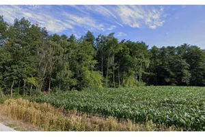 Działka 15 000,00 m², Justynów, Sprzedaż