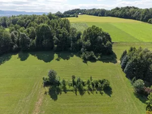 Działka 2 873,00 m², Dzięgielów, Kamienna, Sprzedaż