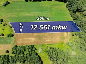Działka 12 561,00 m², Radziszów, Kamienna, Sprzedaż