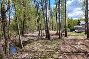 Działka 3 174,00 m², Budy Michałowskie, Karliczka, Sprzedaż