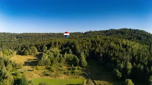 Działka 20 700,00 m², Kasina Wielka, Sprzedaż