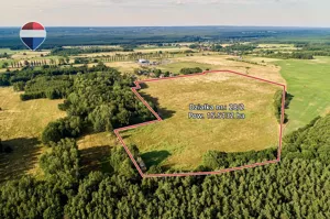 Działka 155 132,00 m², Klępina, Sprzedaż