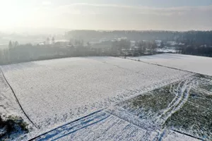Działka 985,00 m², Czarków, Kościelna, Sprzedaż