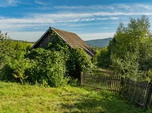 Działka 12 700,00 m², Koziniec, Sprzedaż