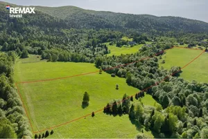 Działka 57 055,00 m², Krzywe, Sprzedaż